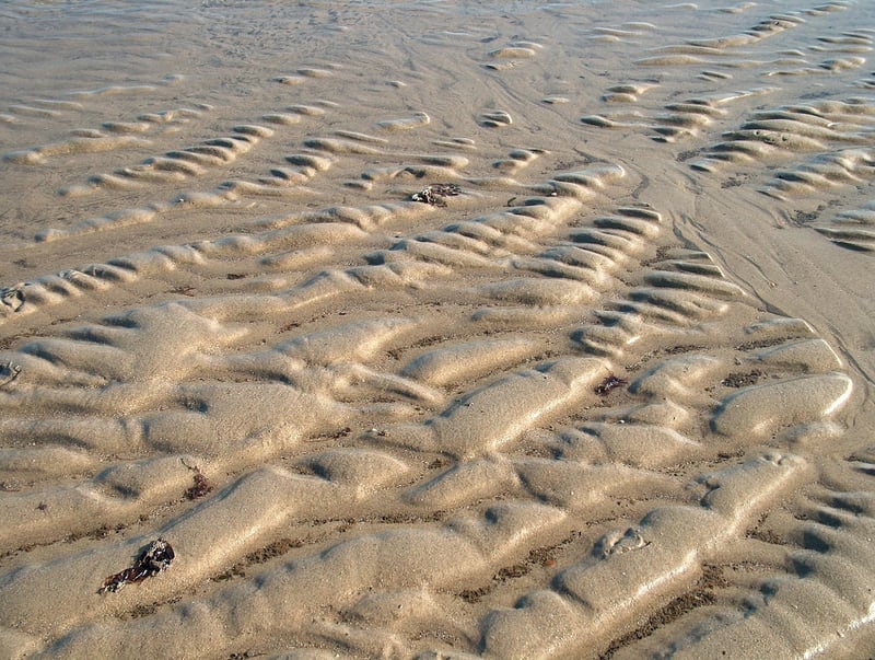 Sun Style Tai Chi Image